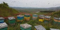 La bottega delle api e-commerce miele (24)