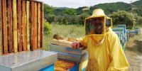 La bottega delle api e-commerce miele (31)