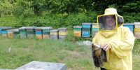 La bottega delle api e-commerce miele (5)